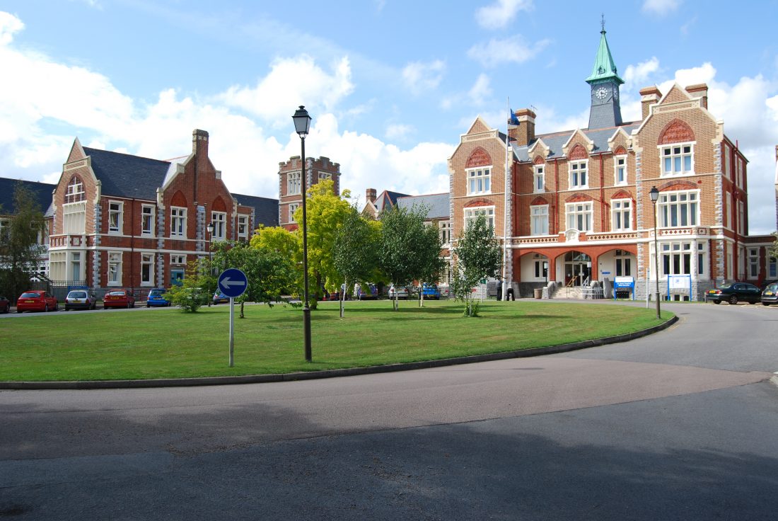 Happy Retirement Zen Flis